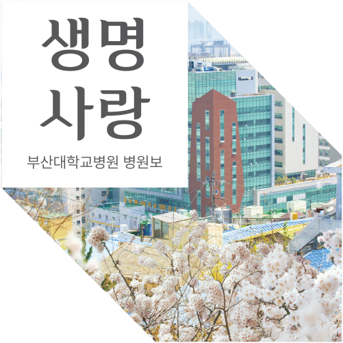 생명사랑 부산대학교 병원보